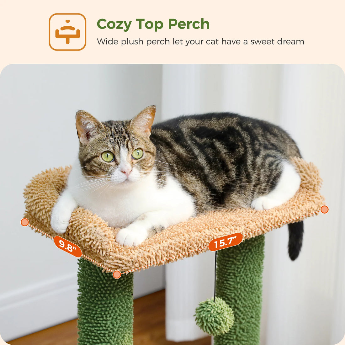 cactus cat tree for medium cats