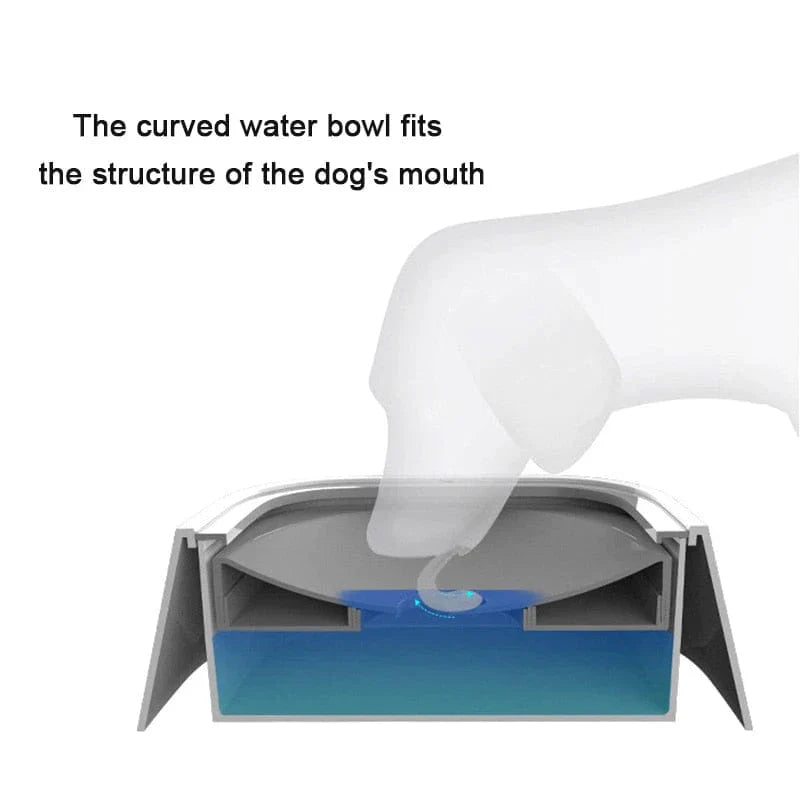Dog Drinking Water Bowl with Floating Design