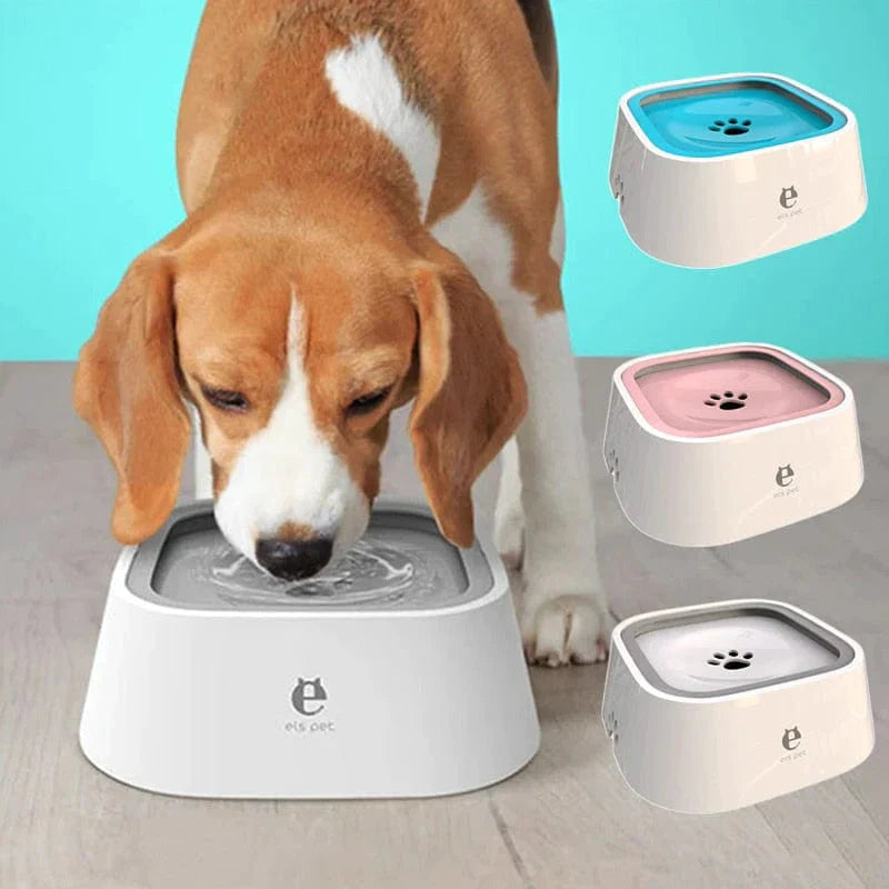 Dog Drinking Water Bowl with Floating Design